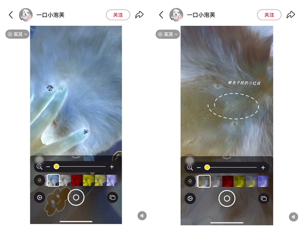 网友发现iPhone能检查虫子 苹果回应：放大器无此功能