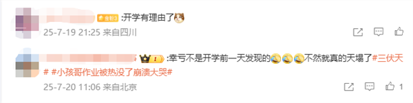 小孩哥作业被热没了崩溃大哭 全怪这种笔 遇高温字迹消失