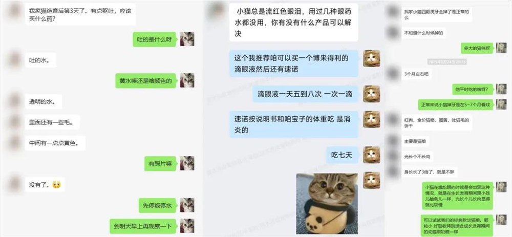 70%复购率不是靠套路：原本猫粮把私域做成了“线上版胖东来”