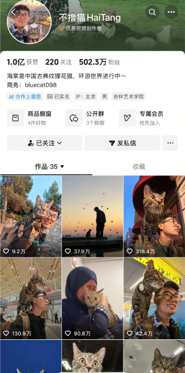 带猫环游世界的@不撸猫HaiTang 如何吸引1亿点赞？