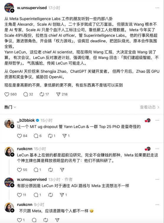 Meta AI实验室内幕曝光：LeCun被怼，赵胜佳闹离职，超级智能梦碎？