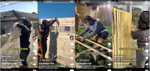 为了喂饱一百多只流浪猫，95后姑娘勇闯婚宴要剩菜