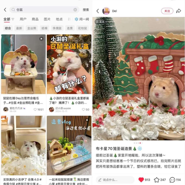 给鼠子“控糖”、造大别墅，这门爆火生意，有商家拿下多个TOP1