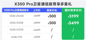 vivo x300 pro卫星通信功能示意图
