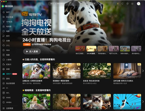 腾讯视频宠物tv频道界面示意