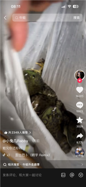 女子外卖备注牛蛙不要烧 结果收到一兜活泼乱跳的牛蛙 商家：以为考验是预制菜