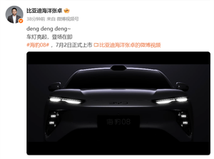 海洋网旗舰轿车！比亚迪海豹08官宣7月2日上市